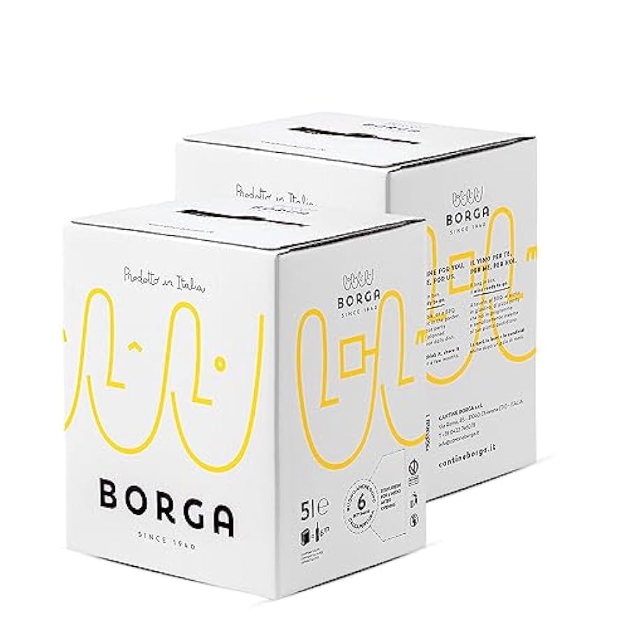 Confezione 2 Bag in Box Raboso Veneto Igt 5 Litri – Bor