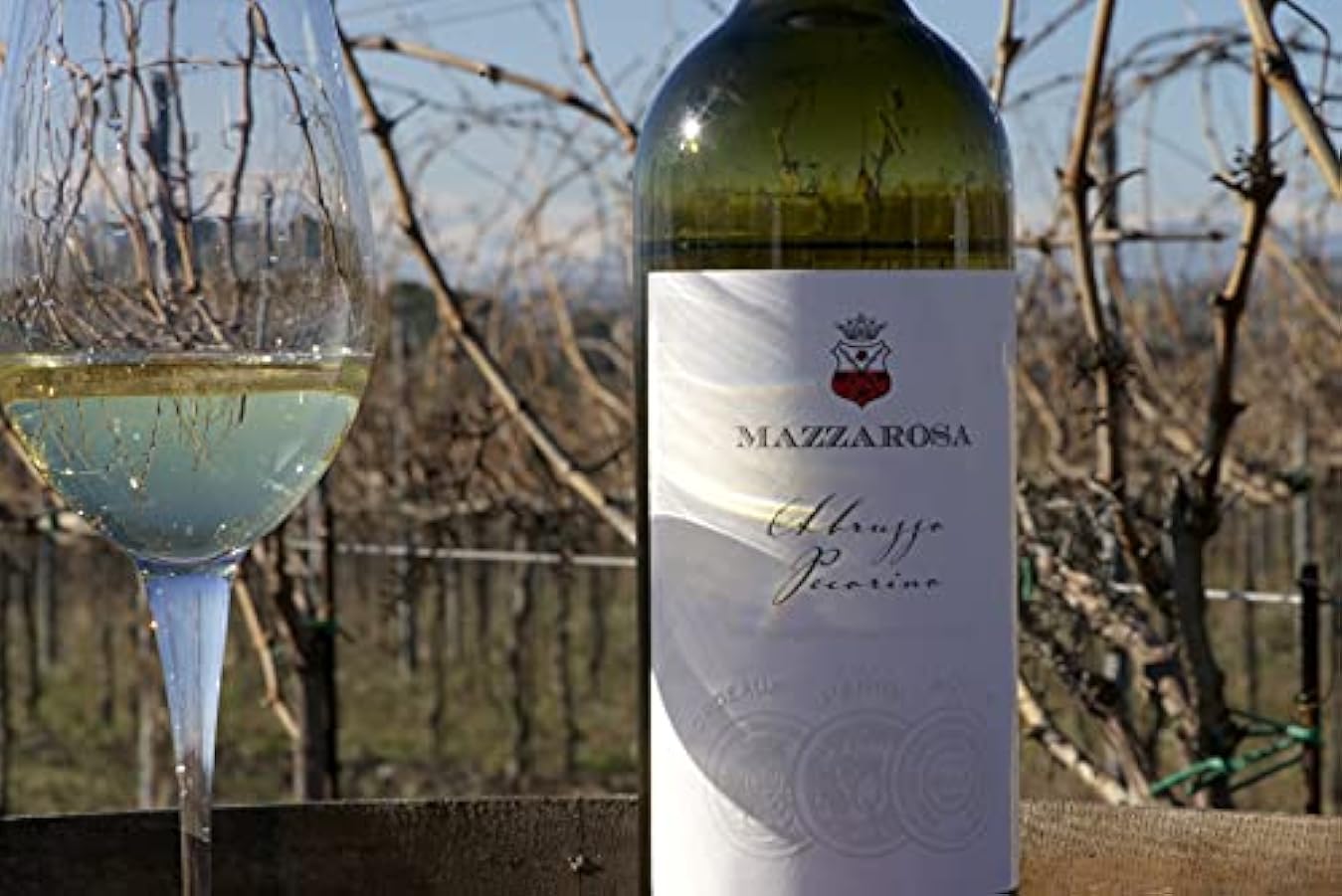 Vino Bianco Pecorino DOC 2021 - Cantine Mazzarosa - Box 6 bottiglie 0,75 L - Produzione e Qualità Sostenibile Certificata SQNPI - Abruzzo - Made in Italy Vintage: 2021 55086003