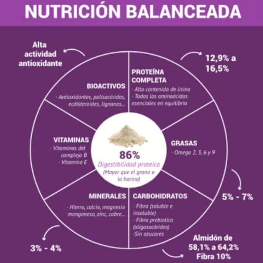 Naturquinoa – Quinoa istantanea in polvere 100% naturale. Quinoa senza glutine con vitamine, amminoacidi e antiossidanti – contiene una busta di 500 gr di Quinoa, una bustina monodose e una ricetta 486161041